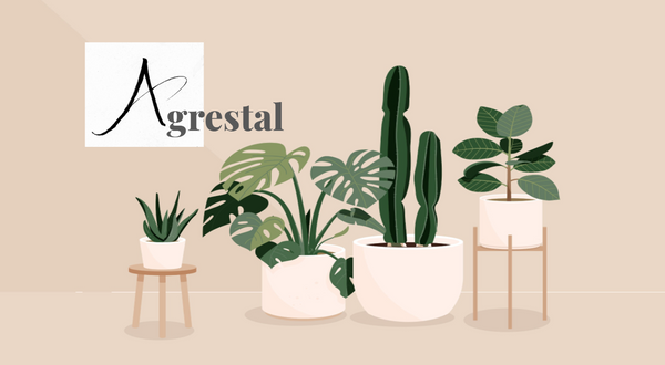 TheAgrestal