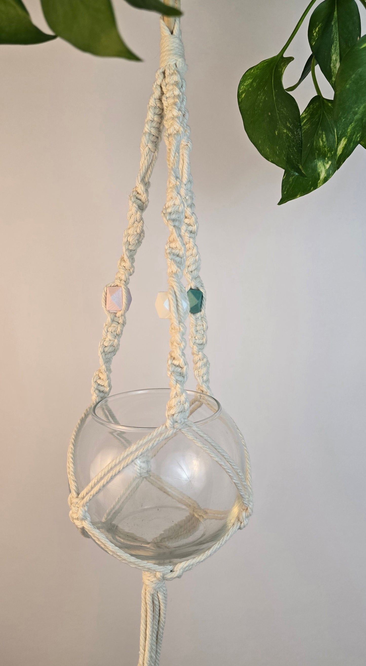 Macrame plant hanger