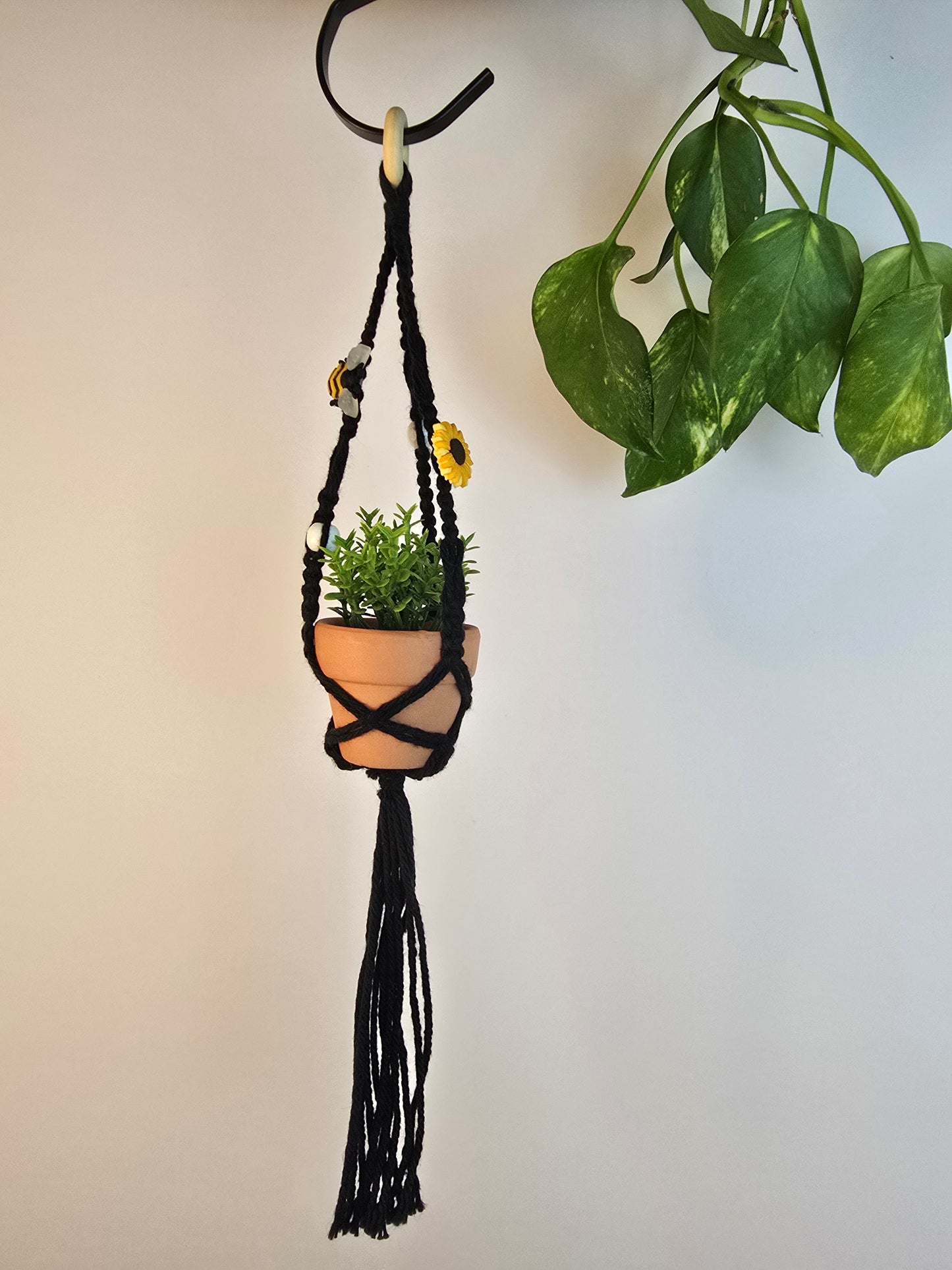 Macrame plant hanger