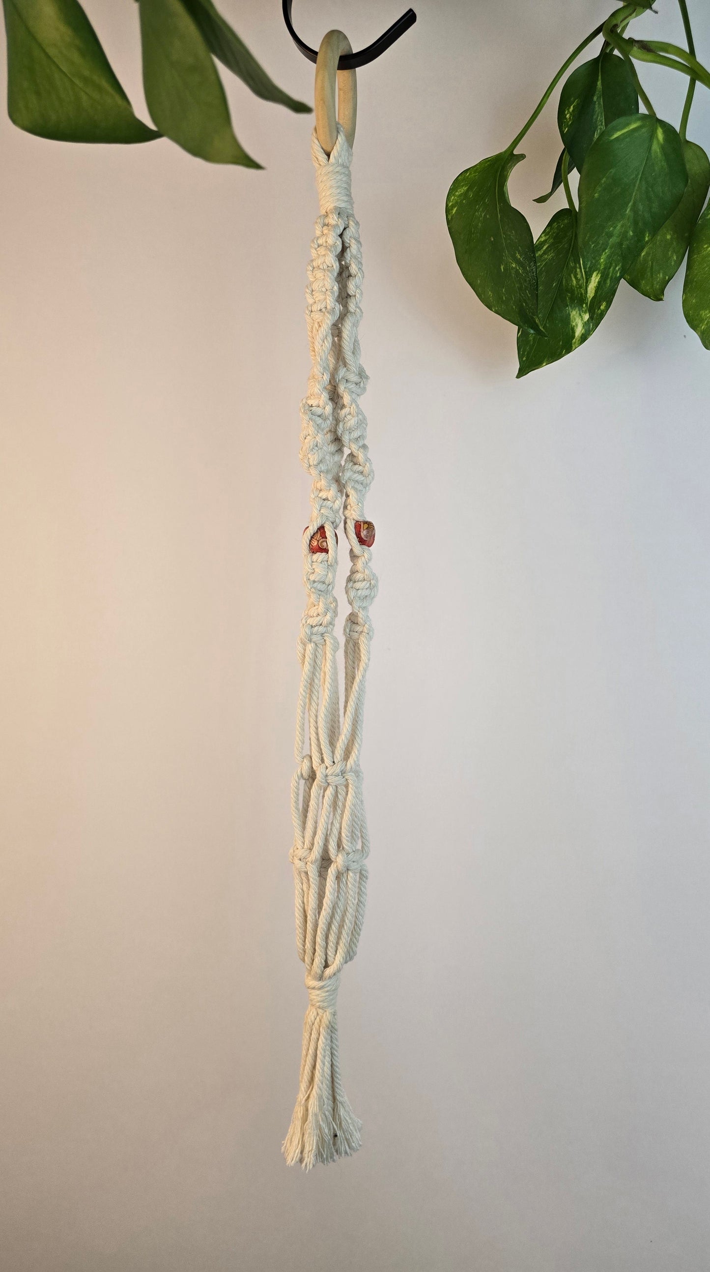 Macrame plant hanger