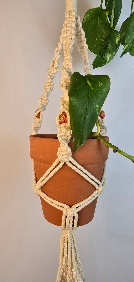 Macrame plant hanger