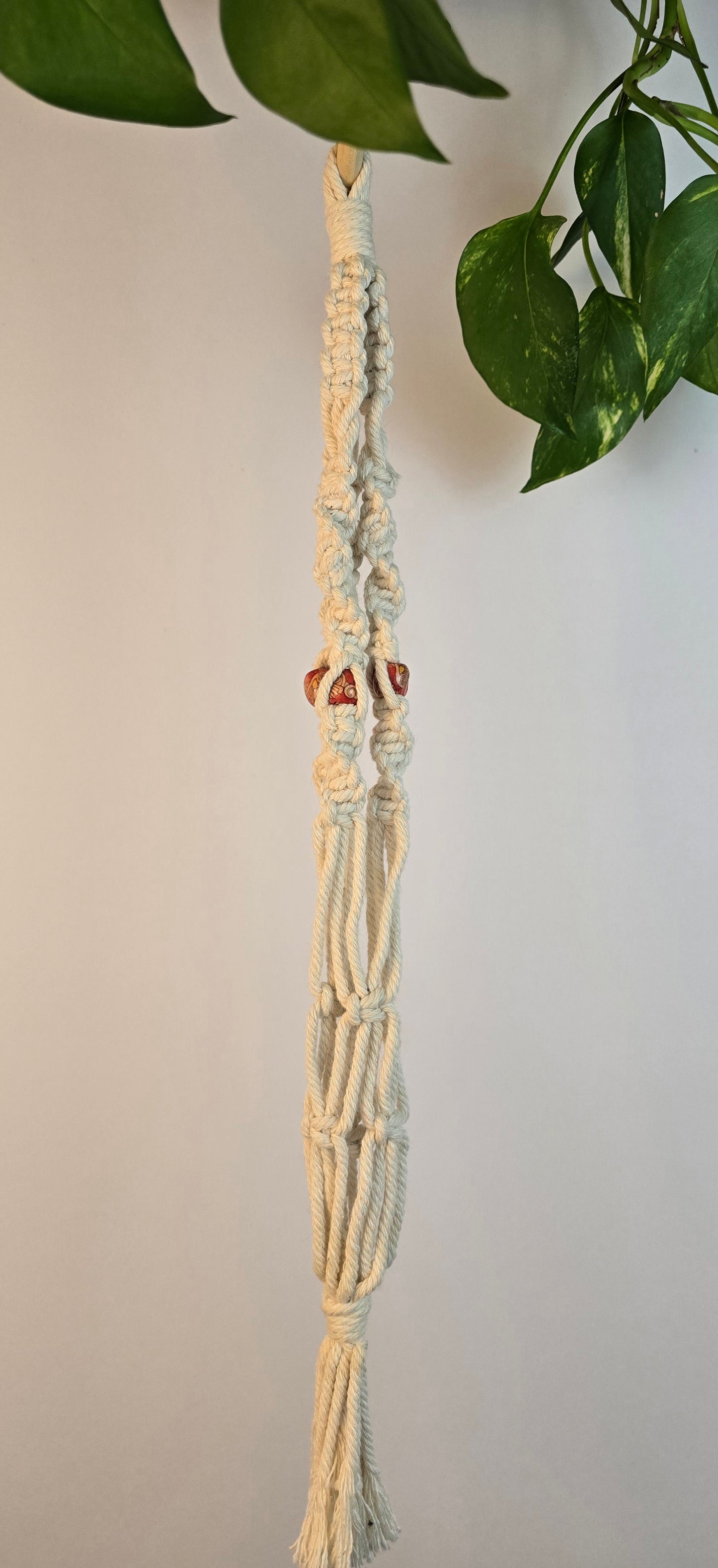 Macrame plant hanger