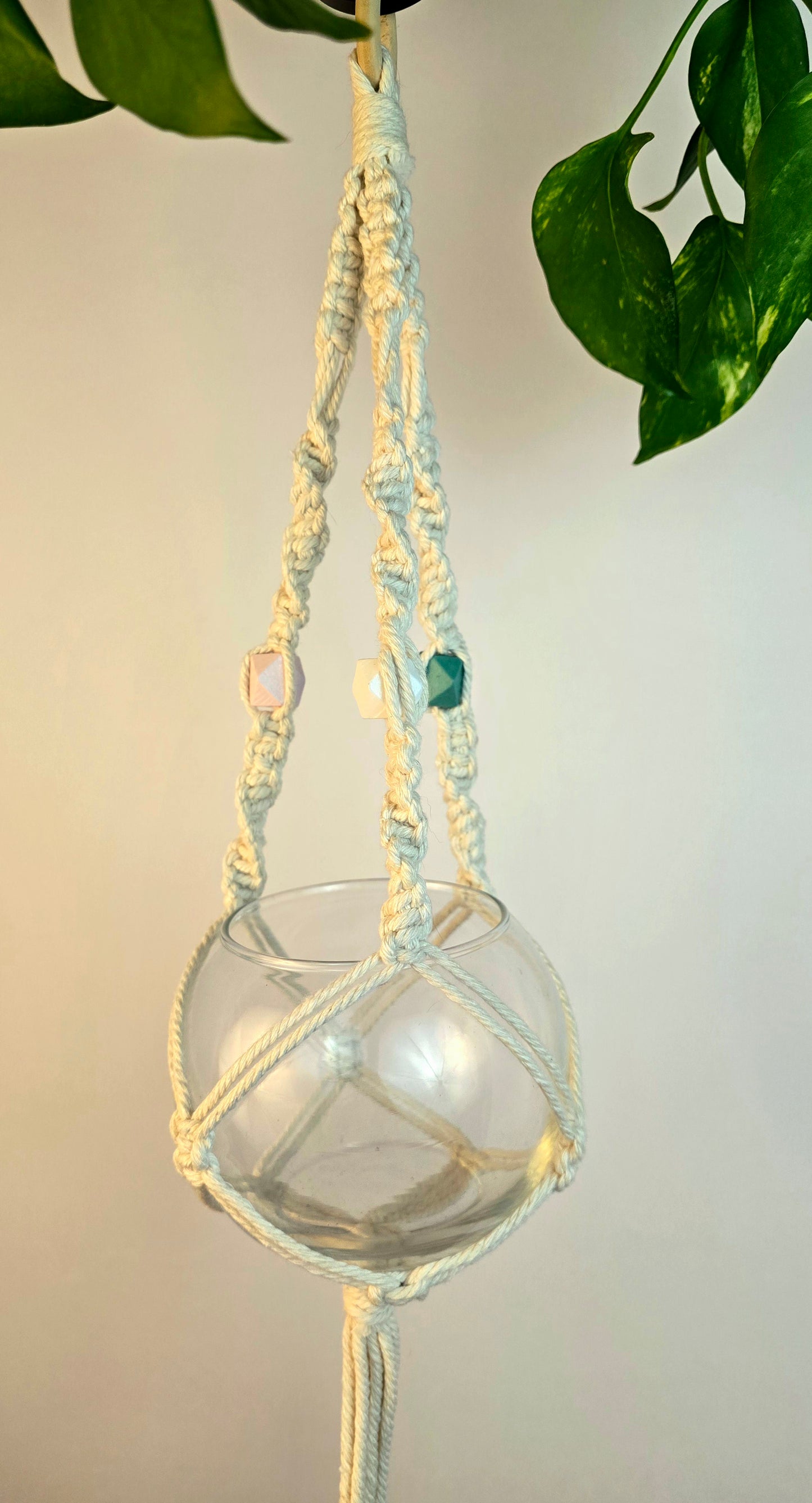 Macrame plant hanger