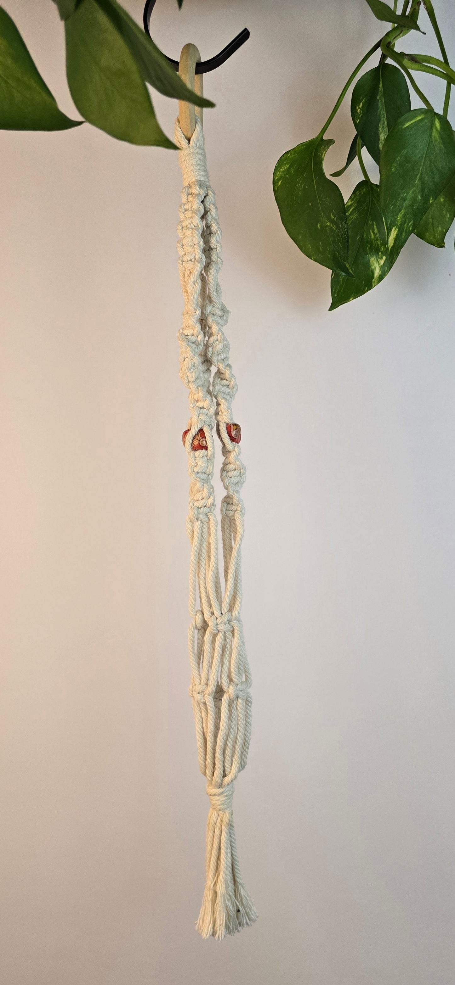 Macrame plant hanger