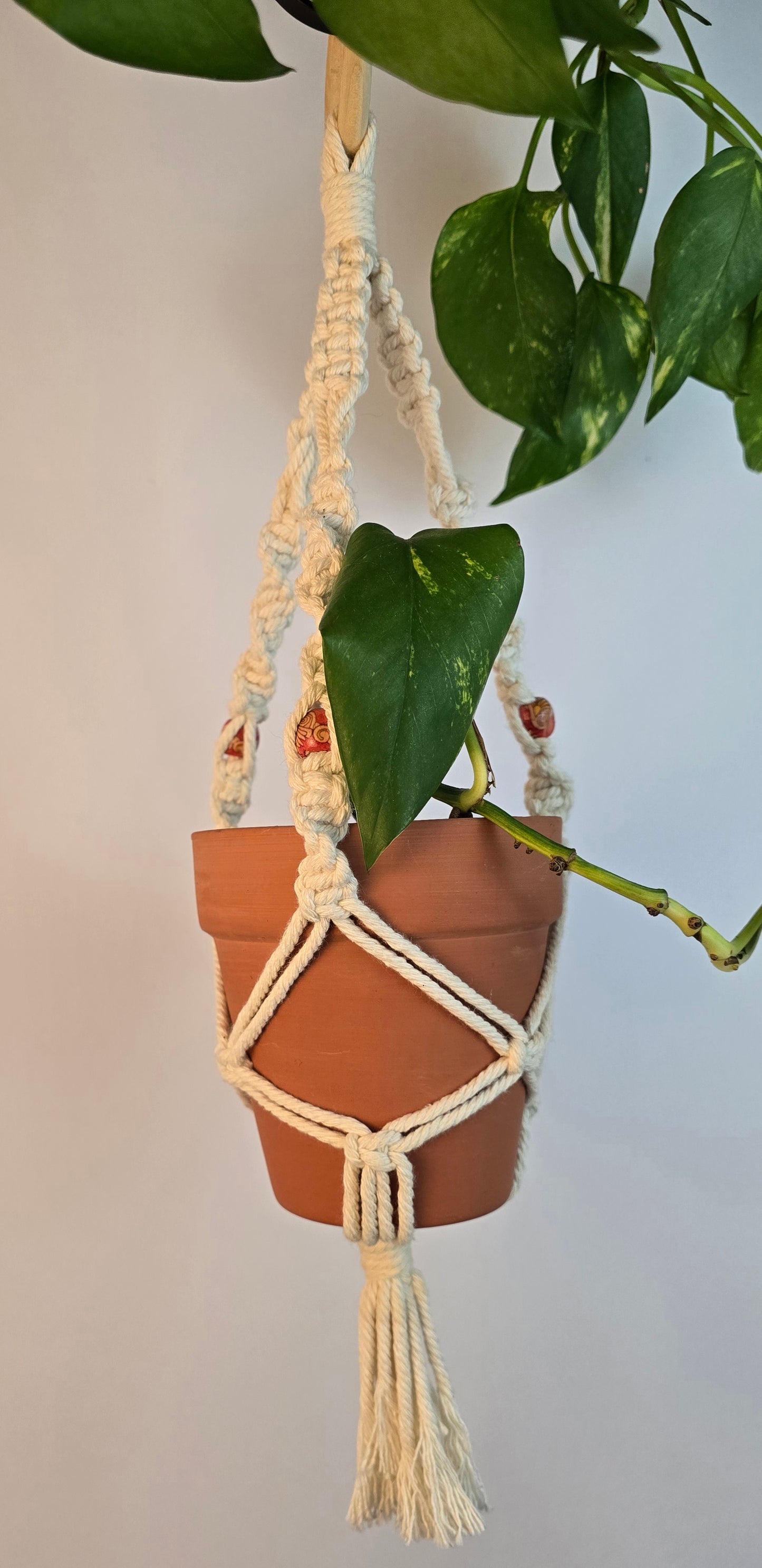 Macrame plant hanger