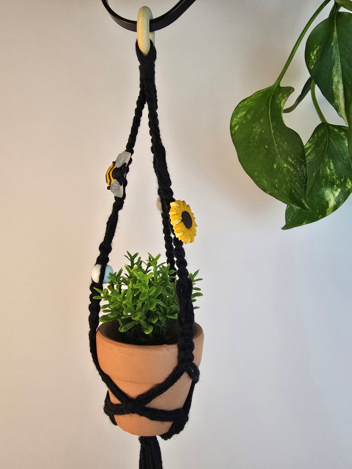 Macrame plant hanger